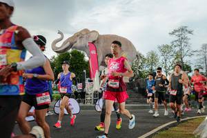 BIB: 
                            <button type="button" onclick="openModal(26528295)" class="btn btn-primary btn-sm float-right btn-popup" data-toggle="modal" data-target=".modal-high-quality">
                        <i class="fas fa-shopping-cart"></i> Add to Cart
                    </button>
                                            <button type="button" onclick="isThisMe(26528295, true)" class="btn btn-success btn-sm float-right btn-popup btn-isme hidden" data-toggle="tooltip" data-placement="bottom" title="นี่คือรูปของคุณใช่ไหม คลิกที่นี่เพื่อเอาเข้าอัลบั้ม">
                        <i class="fas fa-plus"></i> Add to album
                    </button>
                    <button type="button" onclick="isThisMe(26528295, false)" class="btn btn-warning btn-sm float-right btn-popup btn-isnotme hidden">
                        <i class="fas fa-ban"></i> Remove from album
                    </button>